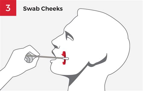 oral swabs procedure